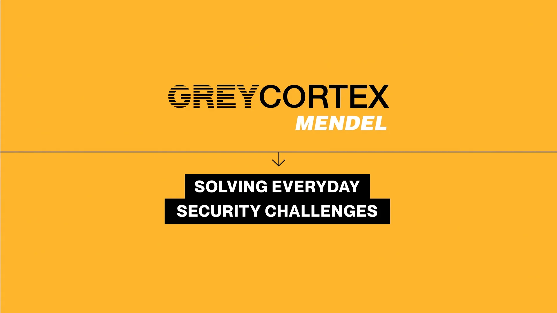 GREYCORTEX
